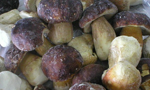 Mrożonki